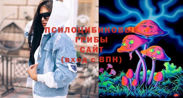 ALPHA PVP Бердск